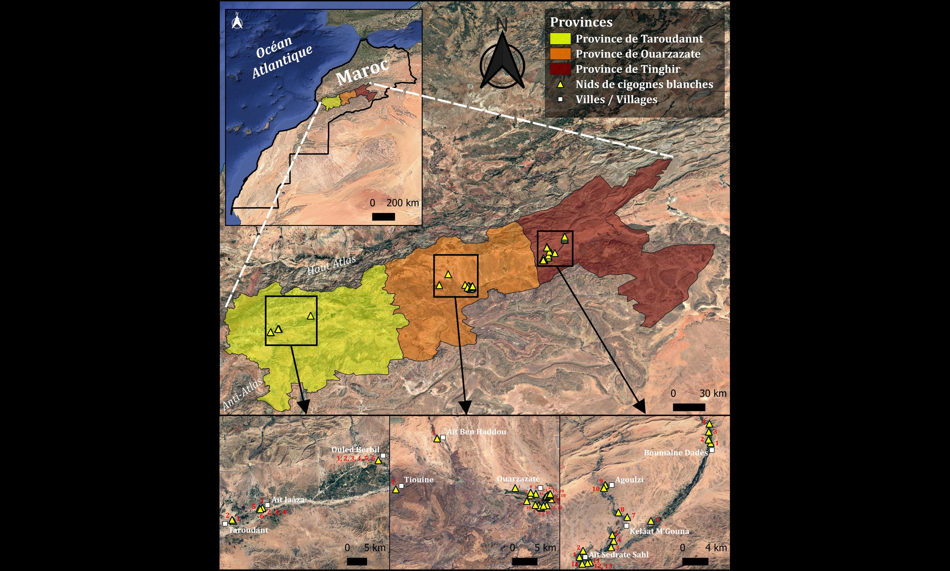 Processing and interpreting satellite images